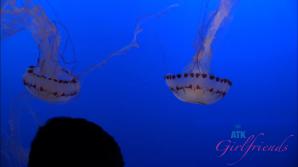 Renee Rose Norcal Part 4